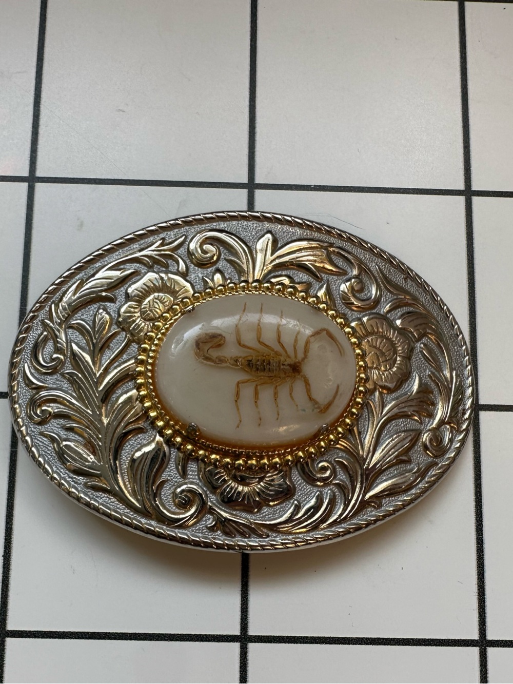 Real preserved Scorpion Cameo Western Belt Buckle - Silver & Gold Tone. Vintage